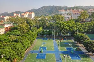 high-angle-view-trees-cityscape-against-sky
